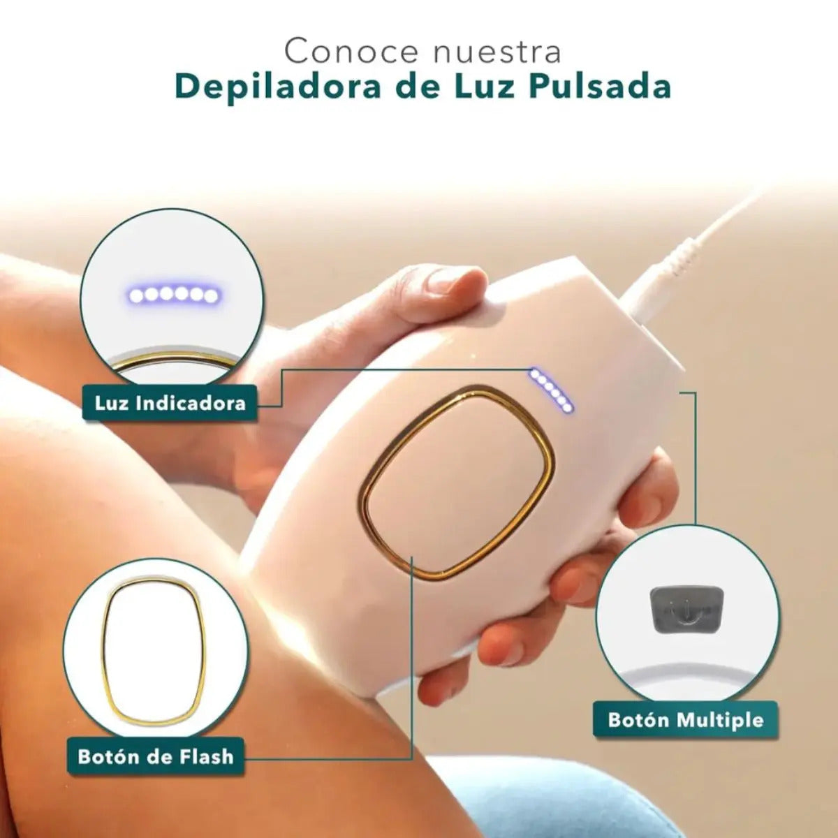 Imagen 5